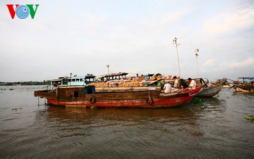 Cai Be floating market fascinates Mekong Delta visitors  - ảnh 3